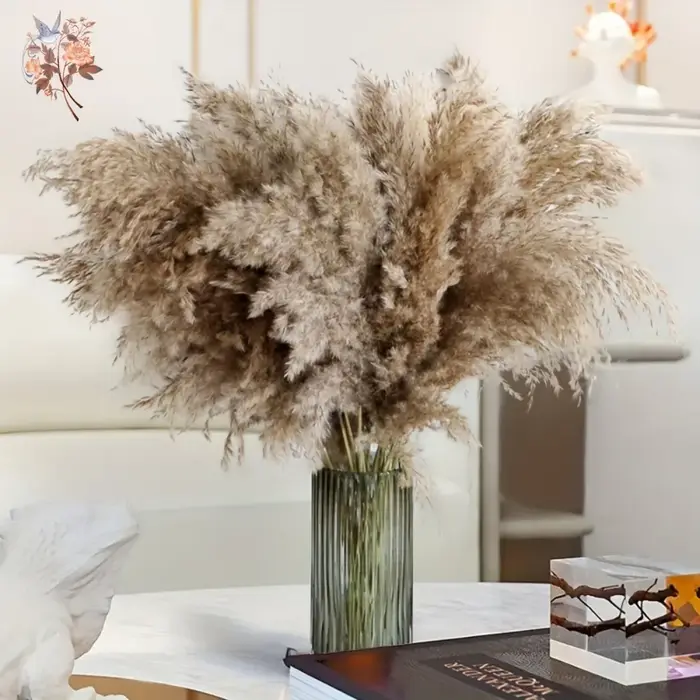 Bouquet d'herbe de la pampa séchée naturelle pour décoration bohème