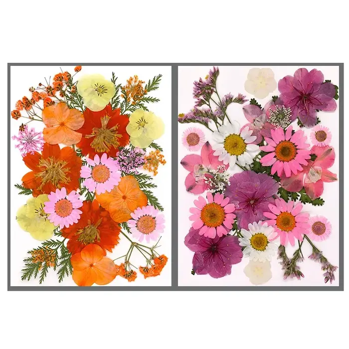 Fleurs séchées pour bricolage