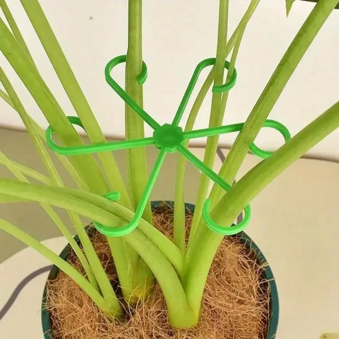 Cadre de Support Anti-vol pour plantes 4 pièces