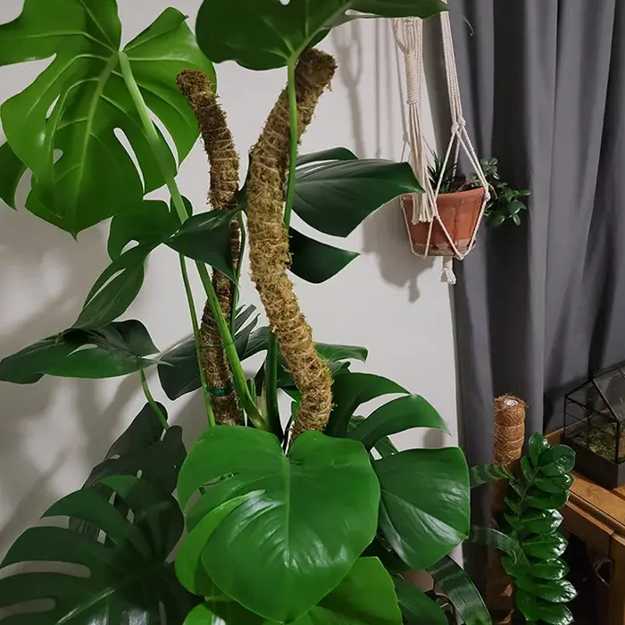 Support de Plantes en Fibre de Coco Flexible pour Trepieds
