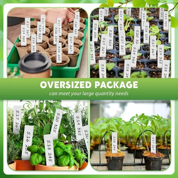 Étiquettes de plantes en plastique 100/300x
