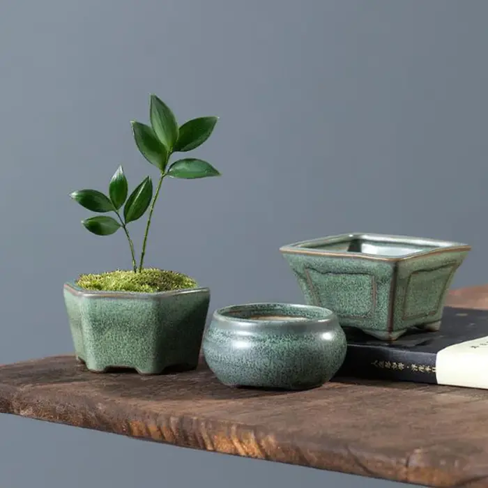Pot de plantes succulentes émaillées en poterie grossière