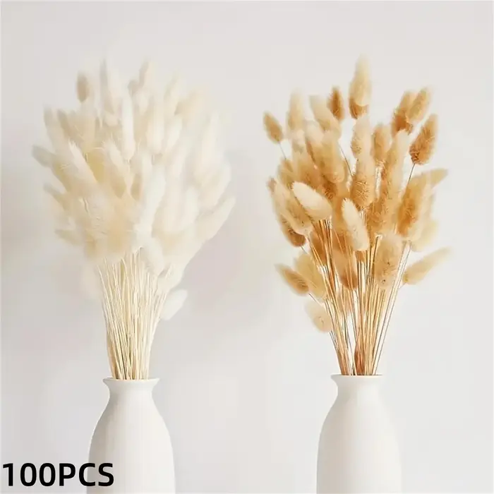Fleurs séchées naturelles Pampas Gypsophila queue de lapin Bouquet maison salon décor fleur artifici