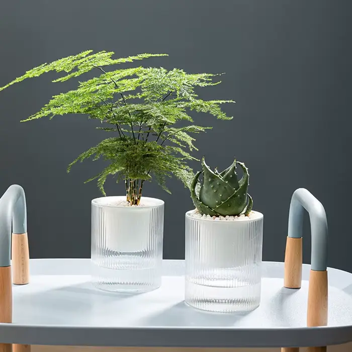 Pot de fleurs auto-arrosage pour plantes hydroponiques succulentes d'intérieur