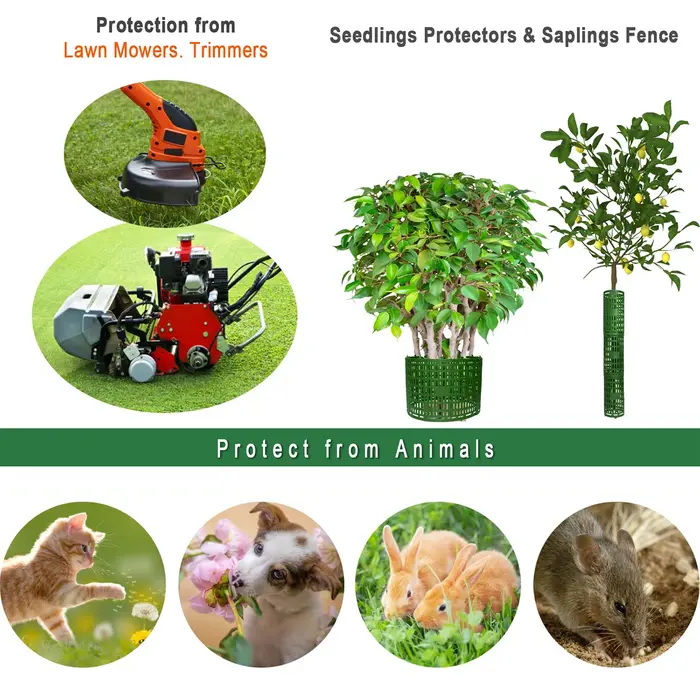 Protecteurs de tronc de plantes