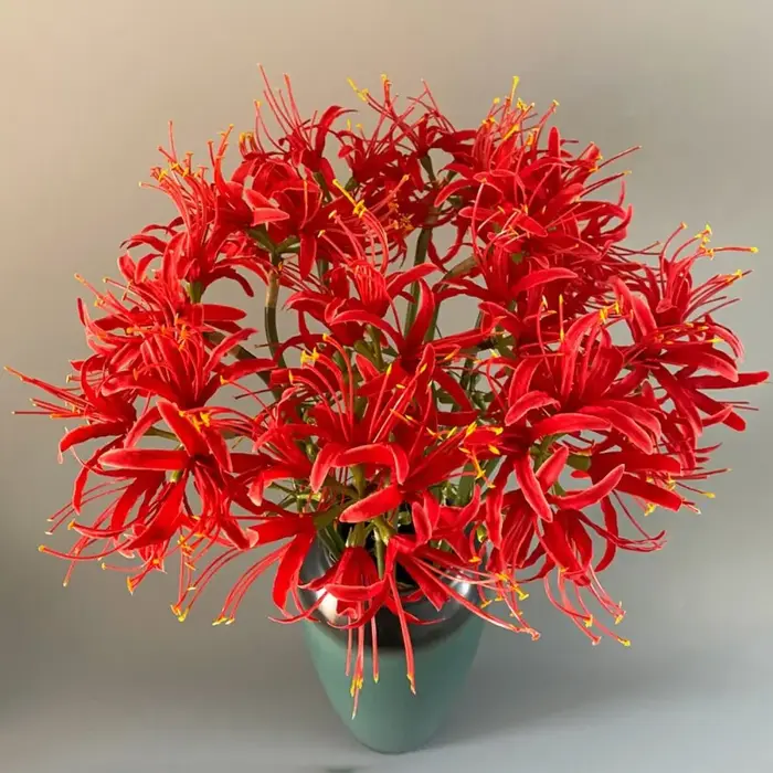 Branche de fleur Higanbana artificielle 60cm