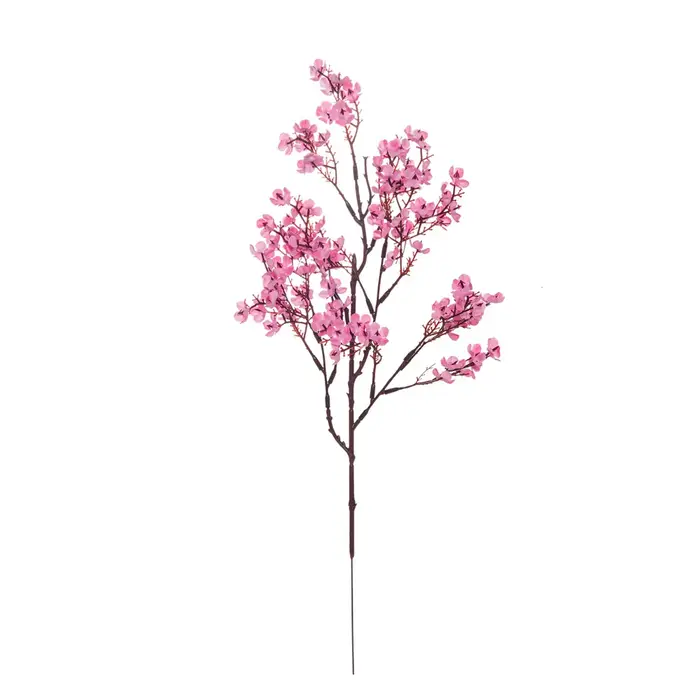 Fleurs de cerisier