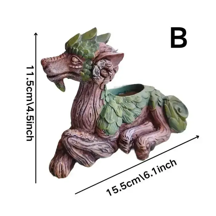 Jardinière succulente d'arbre de Dragon créatif