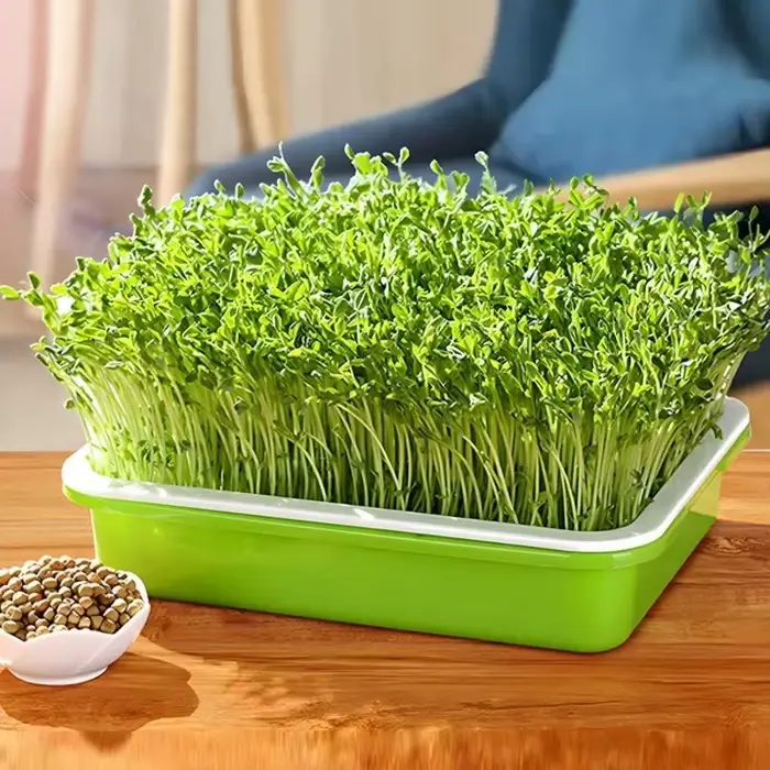 Plateau de germination de jardin