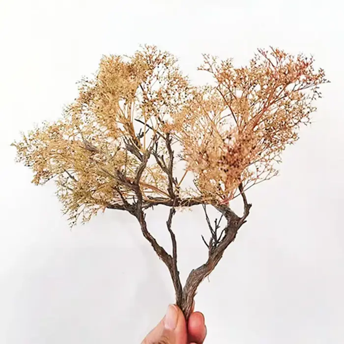 Arbres en mousse de mer