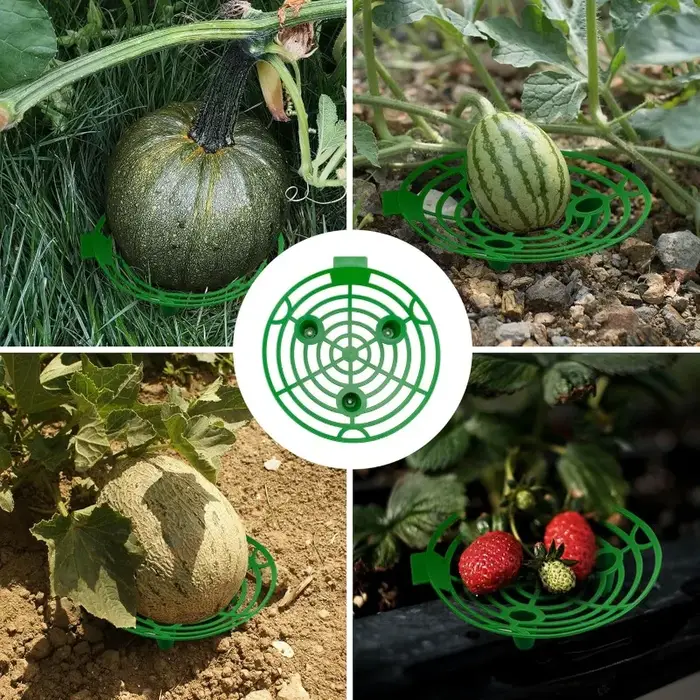 2/10 pièces Supports de plantes