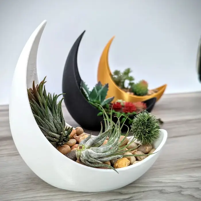 Pots de fleurs en forme de lune
