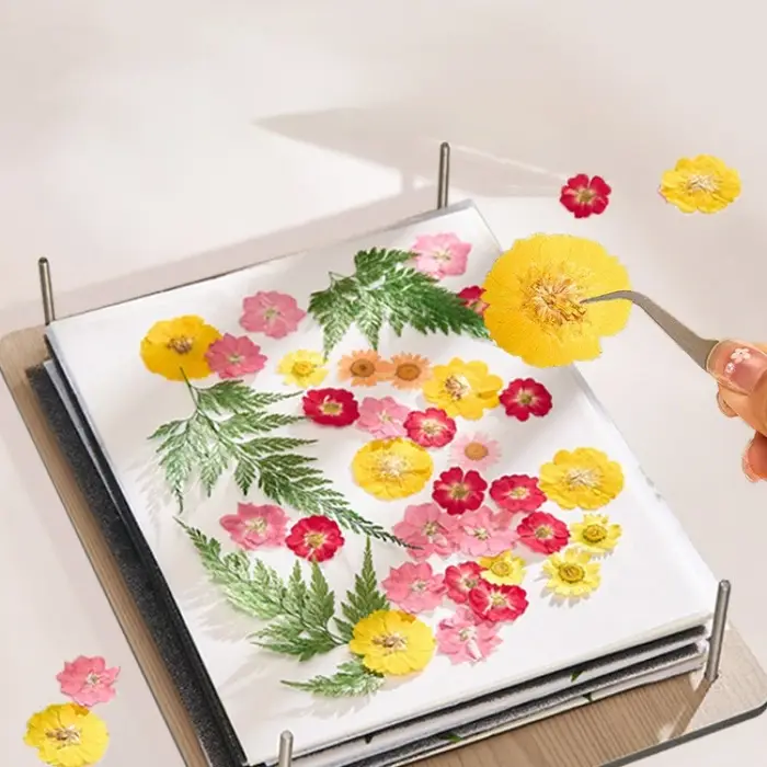 Kit de presse à fleurs DIY