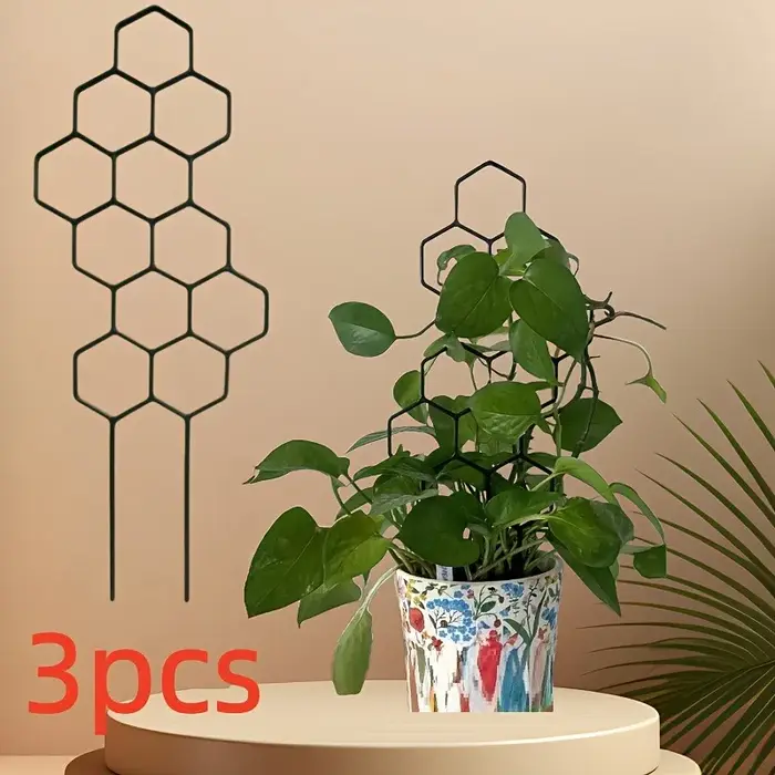 Cadre de Support pour plantes