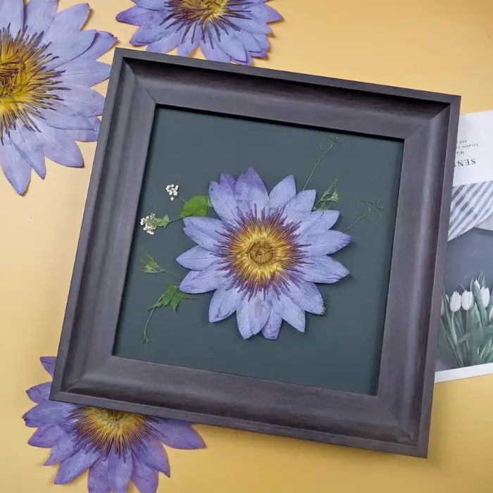 Pétales de Nénuphar Bleus Naturels Pressés et Séchés pour la Résine Époxy, Marque-pages, Cadres Photo, Fournitures Artisanales DIY Flora