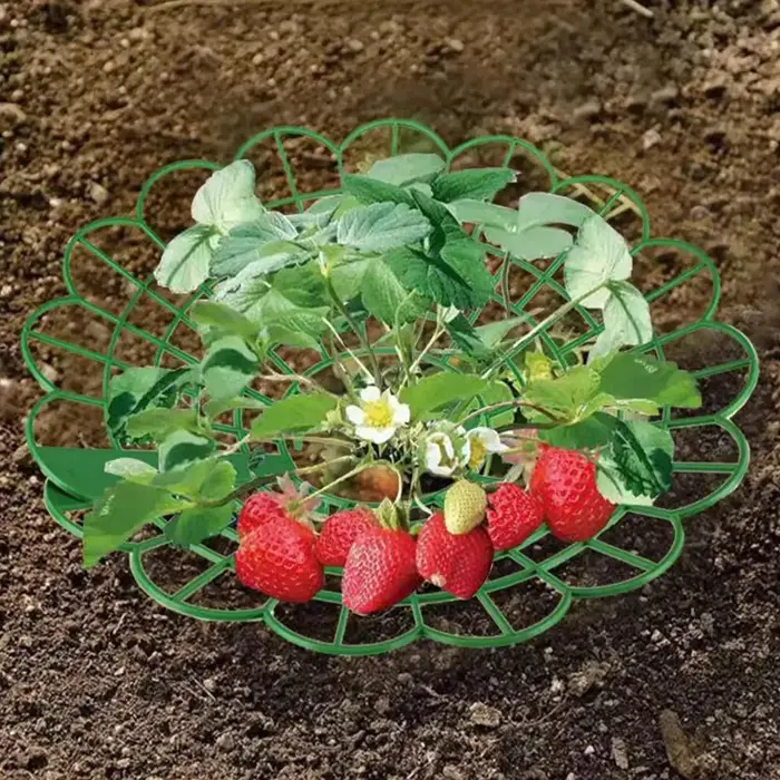 1 support pour plantes de fraises avec trois pieds robustes