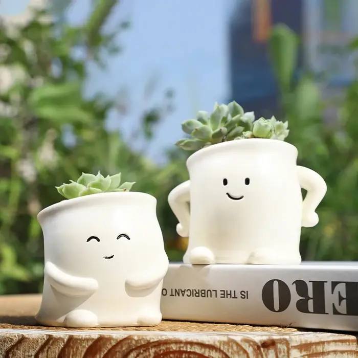 Mini Pot de plantes en résine avec visage Smiley