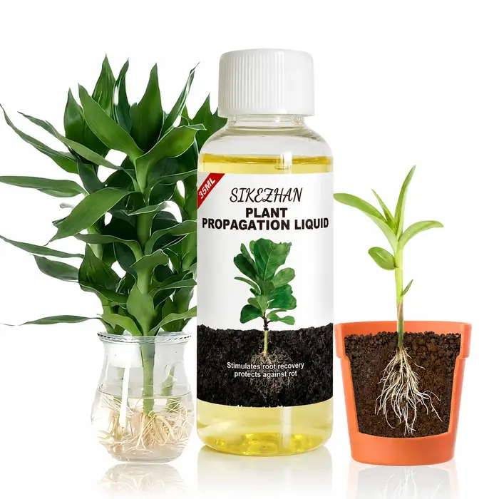 Hormone liquide d'enracinement rapide, solution de propagation végétale haute performance pour une c