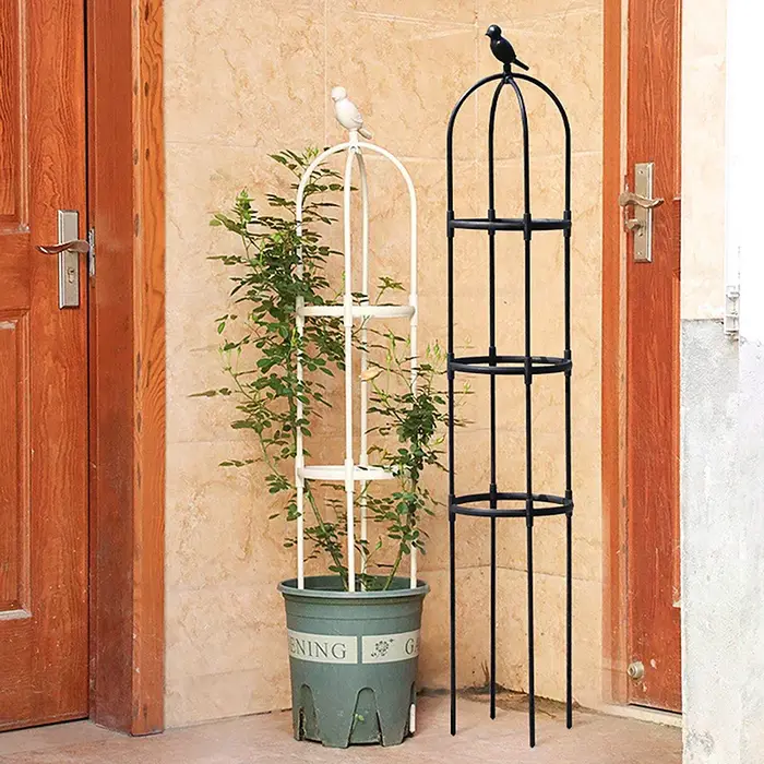 1 ensemble plante grimpante treillis jardin fleur