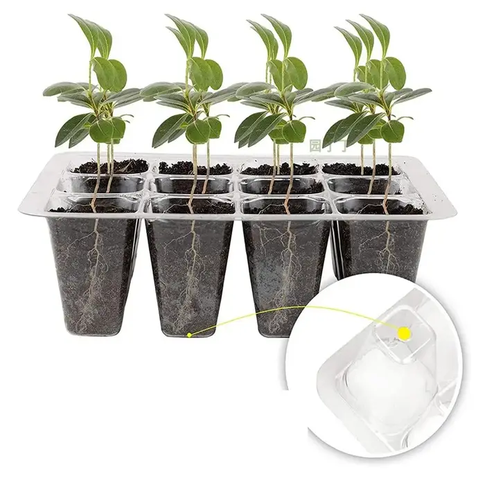 Kit de Germination avec Éclairage pour Plantes Comprend des Plateaux de Germination Surélevés avec Dômes d'Humidité Réglables et Cellules Transparentes
