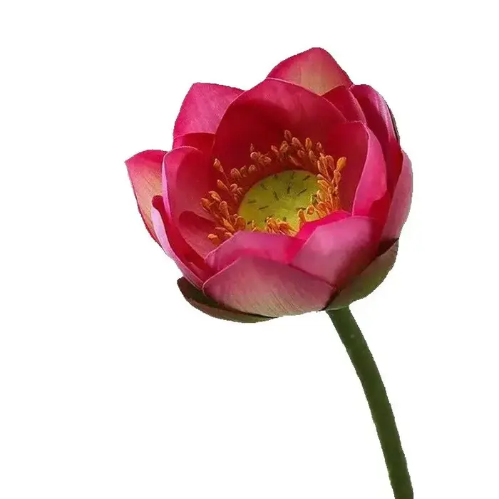 Une branche de fleur de lotus artificielle en soie