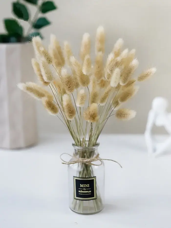 Mini Bouquet de Fleurs Séchées Naturelles : Herbe de la Pampa