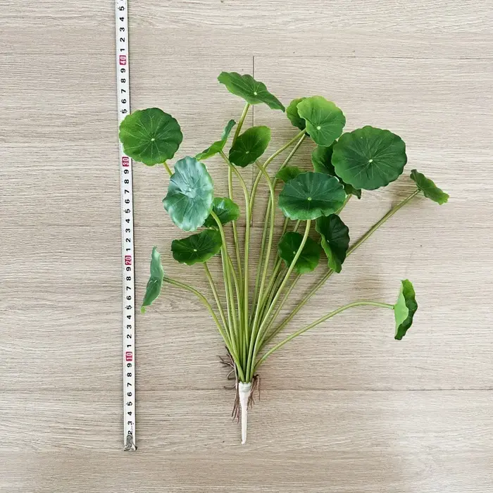 2 pièces de feuilles artificielles de Pilea Peperomioides