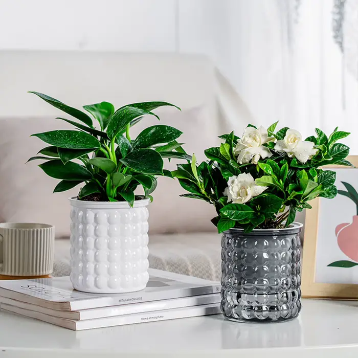 Mini pot de fleur à arrosage automatique, pots de plantes en plastique transparent, jardinière de po