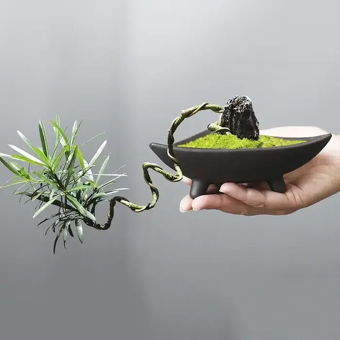 Pots de fleurs en céramique pour bambou