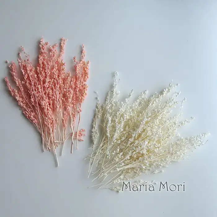 10g/Coloré Fleurs de maïs séchées blanchies