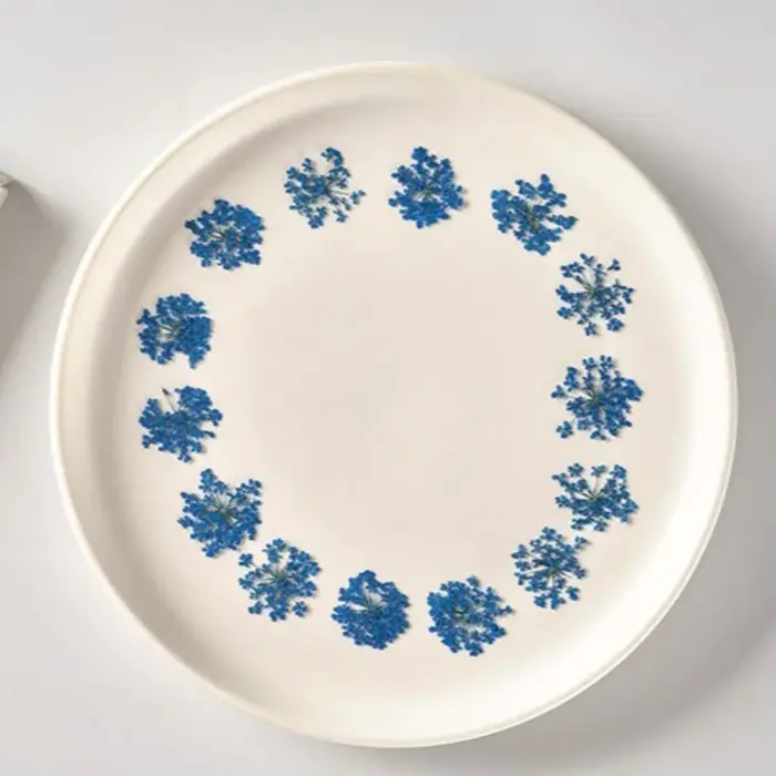 Fleurs séchées pressées pour résine Art Ammi Majus