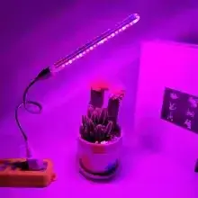 Lampe de croissance pour plantes LED à spectre complet, lampe USB réglable pour succulentes, semis, culture hydroponique et jardin d'intérieur