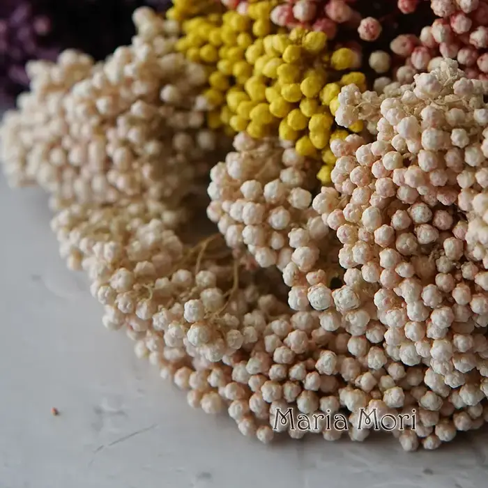 Fleurs de Riz pour Décoration de Maison et Bureau