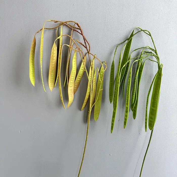 Haricots artificiels au toucher réel