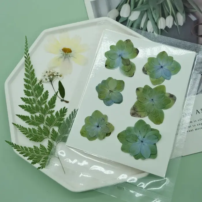 6 pièces, sac de fleurs sèches naturelles