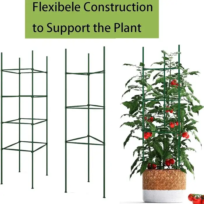 Bras de Piquet de Plante pour Jos de Tomate