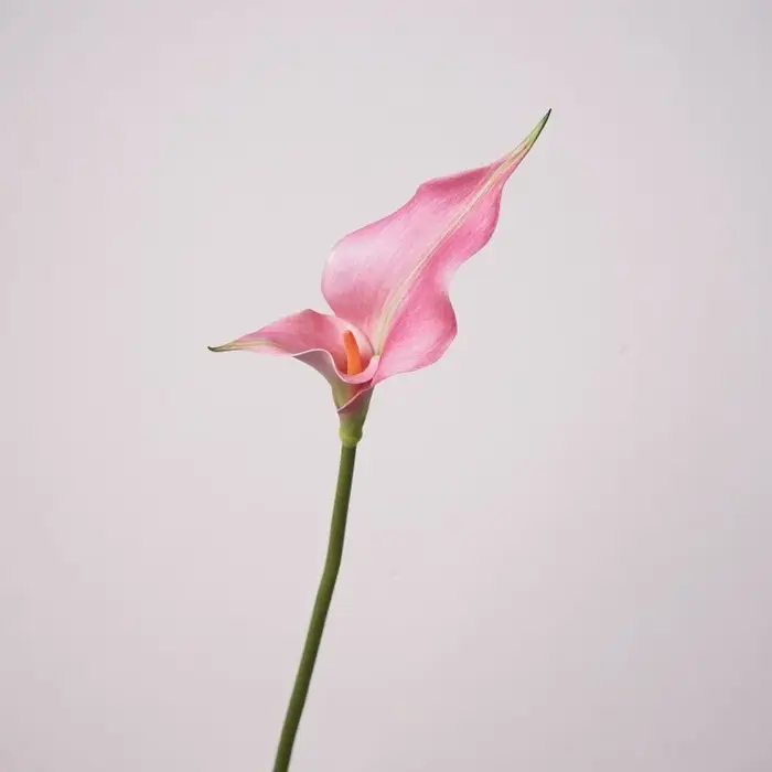 Fleurs artificielles de lys calla en PU