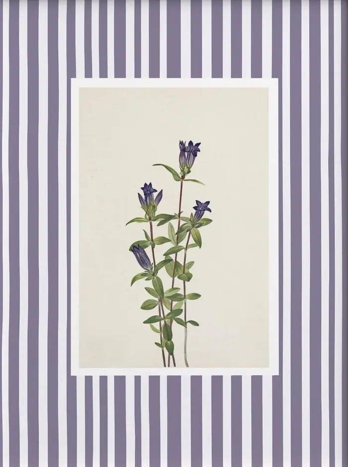 Toile imprimée à rayures avec plante de muguet bleu, tournesol, grenade, affiche d'art mural de jard