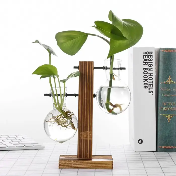 Décor à la maison Terrarium table planteur Pot de fleur plantes hydroponiques Vases Vase en verre cadre en bois