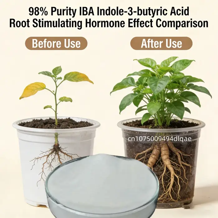 Poudre d'Enracinement à 98% de Pureté IBA Acide Indole-3-butyrique | Régulateur de croissance des