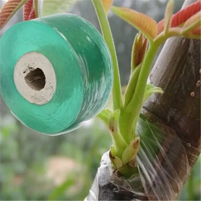 1 rouleau de ruban de fixation pour plantes élastique