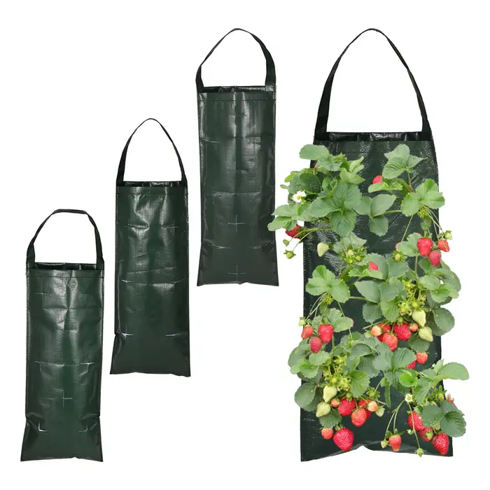 Sac de plantation de fraises suspendu à 6/8/10 trous