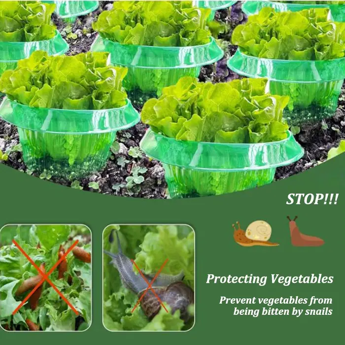 Anneaux de Protection des limaces pour plantes, jardinière verte, Pot de fleur, escargot, légumes, c