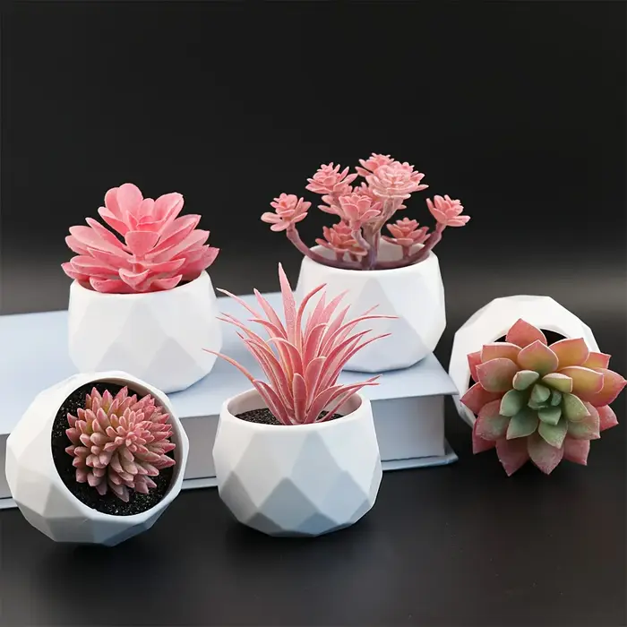 5 mini-plantes succulentes artificielles réalistes avec pot