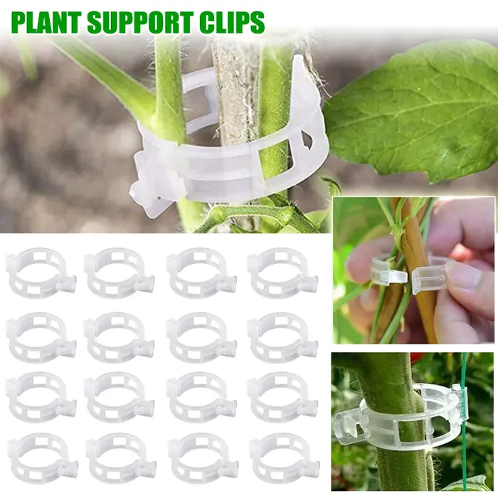 Supports de Clips pour plantes