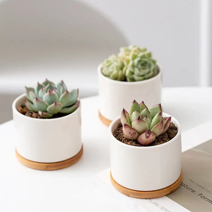 Mini pot de fleurs en céramique blanche Simple