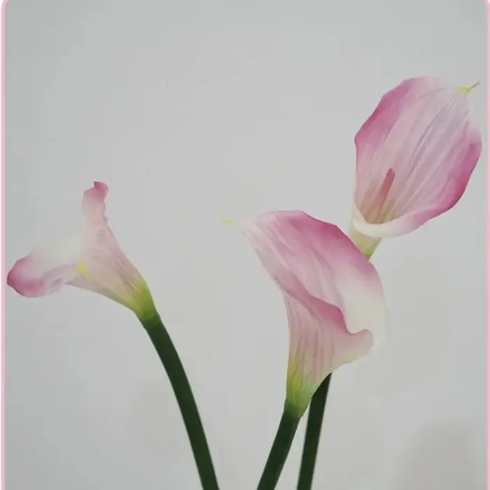 12 pièces Faux Latex Calla Lily fleurs artificielles Bouquet de mariage vraie touche Callas chambre maison décorative fête fleur accessoires