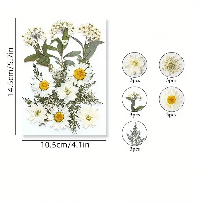 14 styles de fleurs séchées DIY, élégantes et magnifiques, fleurs artificielles de mignonnonneux, dé