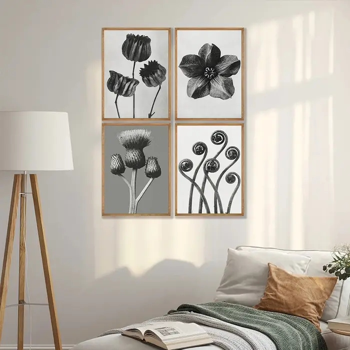 Karl Blossfeldt noir et blanc plante fleur minimaliste esthétique impression toile peinture pour salon moderne décor à la maison