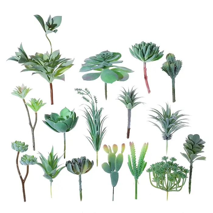 Plantes succulentes artificielles floquées vertes
